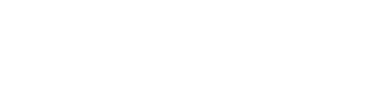Carpe diem logo wit